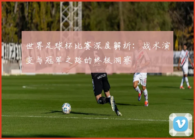 世界足球杯比赛深度解析：战术演变与冠军之路的终极洞察